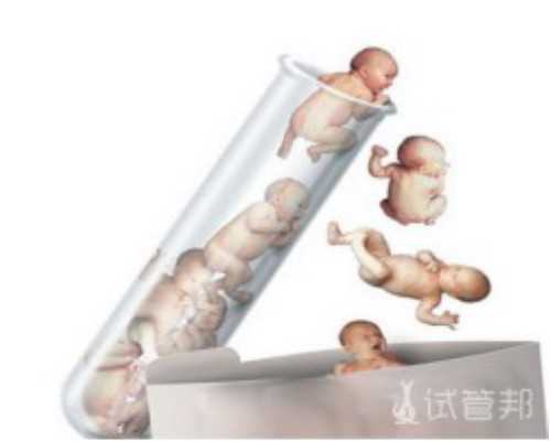 广州有提供供卵服务的医院,广州做供卵试管-代孕公司在哪里