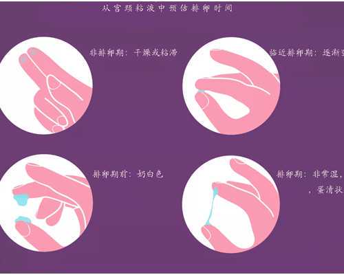 试管预产期计算器