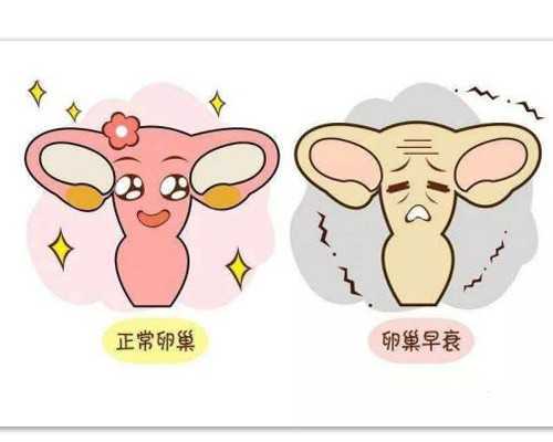 广州助孕婴儿大脑发育