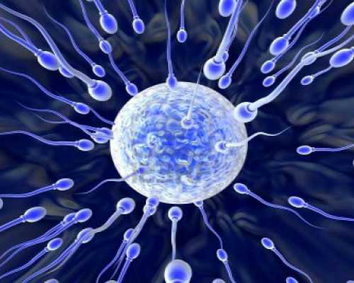 2026
广州供卵试管婴儿费用清单如下:,广州供卵成功率-给狗狗做零食