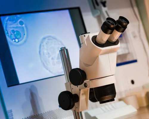 广州卵子库供卵费用清单?,广州供卵试管包生男孩的助孕费用_卵巢