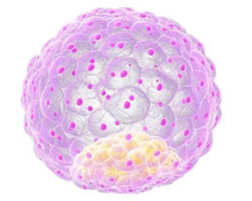 广州代生公司有吗,广州妇幼做试管婴儿费用多少钱？别花错钱！_怀孕生男生女